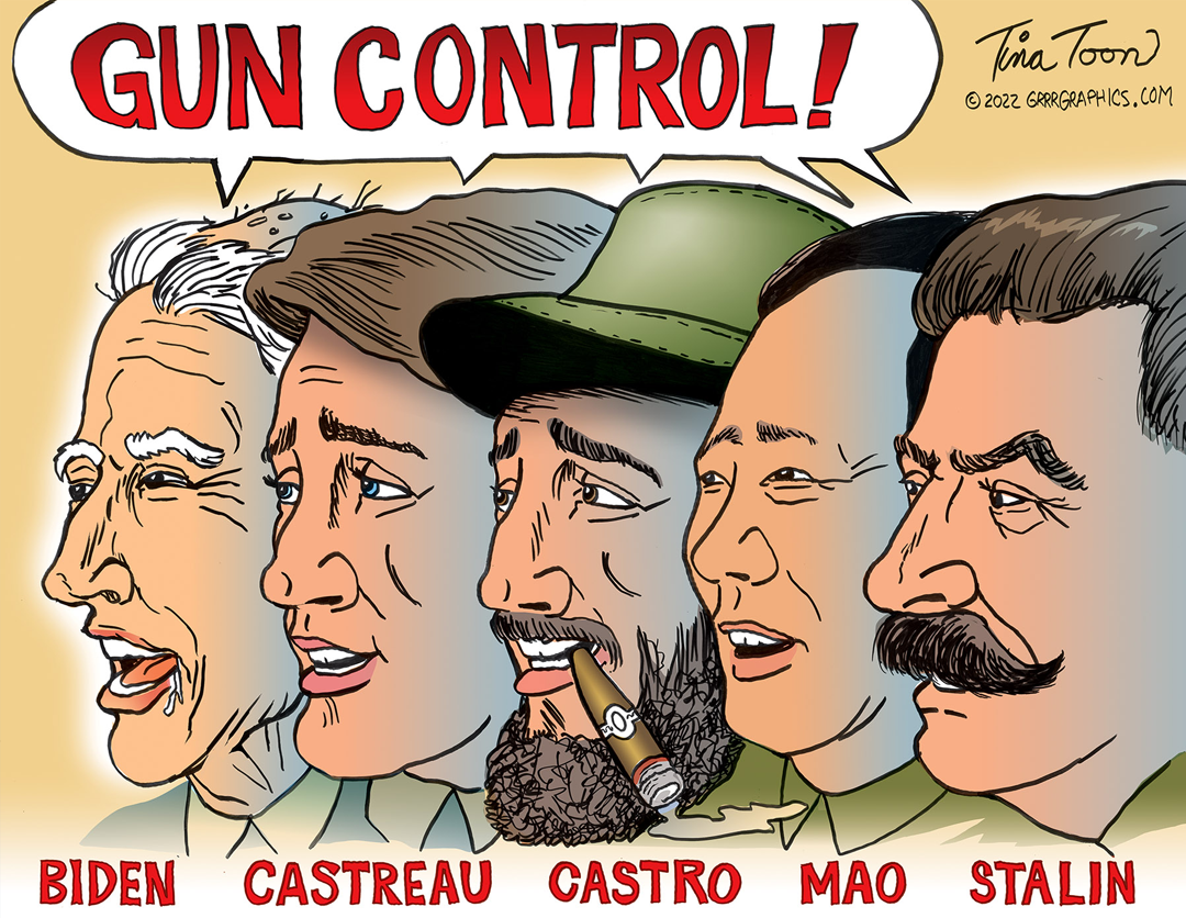 Gun Control panel 1